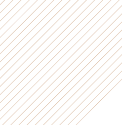 asesor inmobiliario en Almería asesor inmobiliario en Almería,venta de viviendas en Almería,alquileres en Almería con asesor inmobiliario,valoración gratuita vivienda Almería,gestión inmobiliaria en Almería